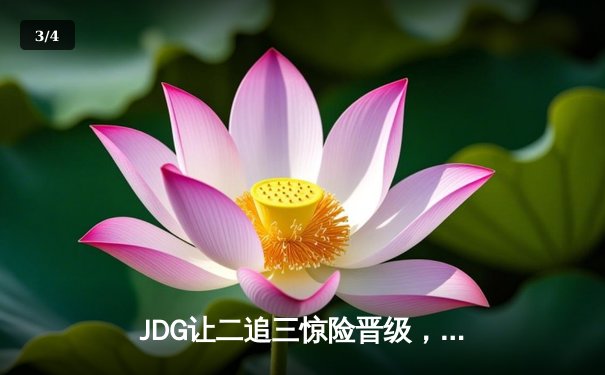 JDG让二追三惊险晋级，369纳尔一拍定乾坤锁定MSI决赛席位 - 3