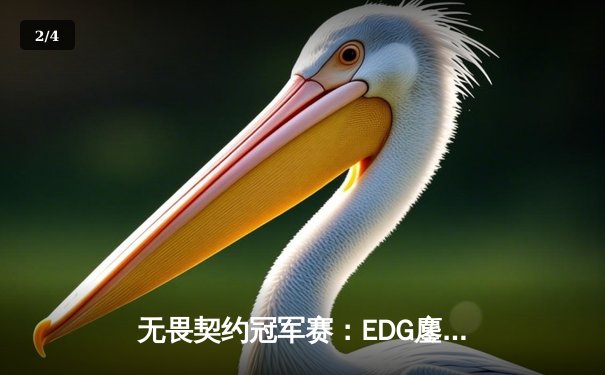 无畏契约冠军赛：EDG鏖战五局惜败PRX，中国电竞虽败犹荣 - 2